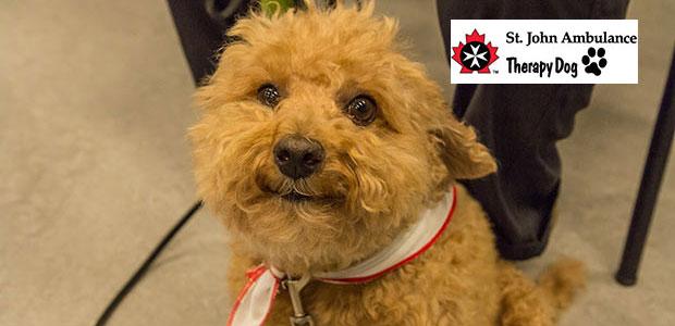 Save the date! Therapy dogs will be in the library Nov. 21 & 28...